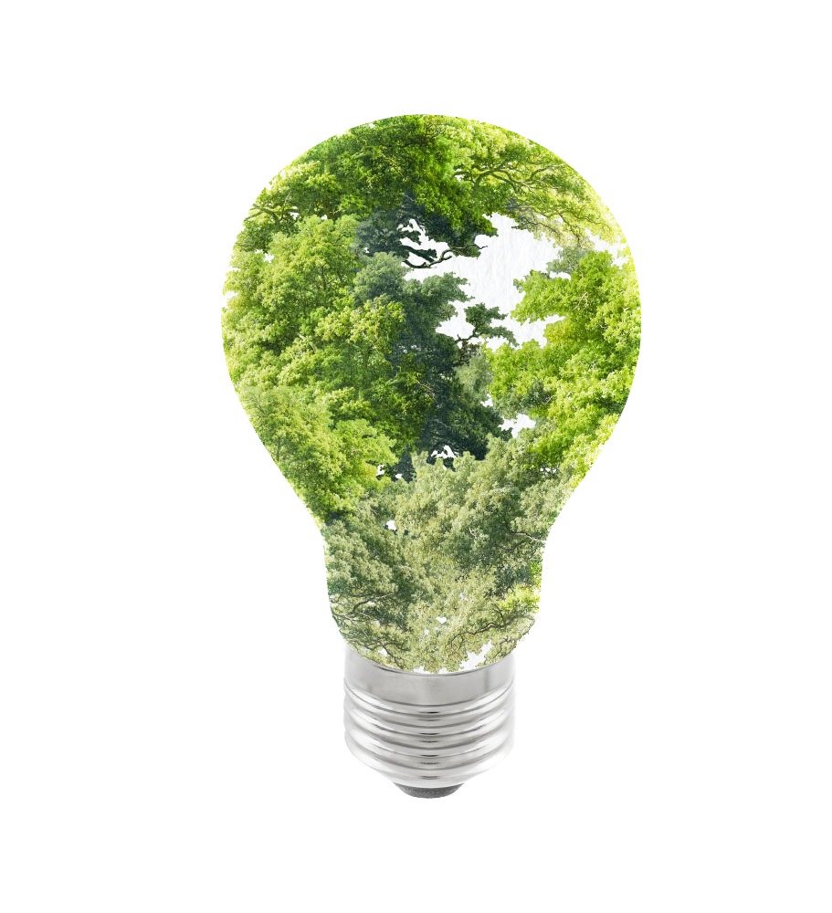 //cgsustainablesolutions.com/wp-content/uploads/2022/09/bulb.png